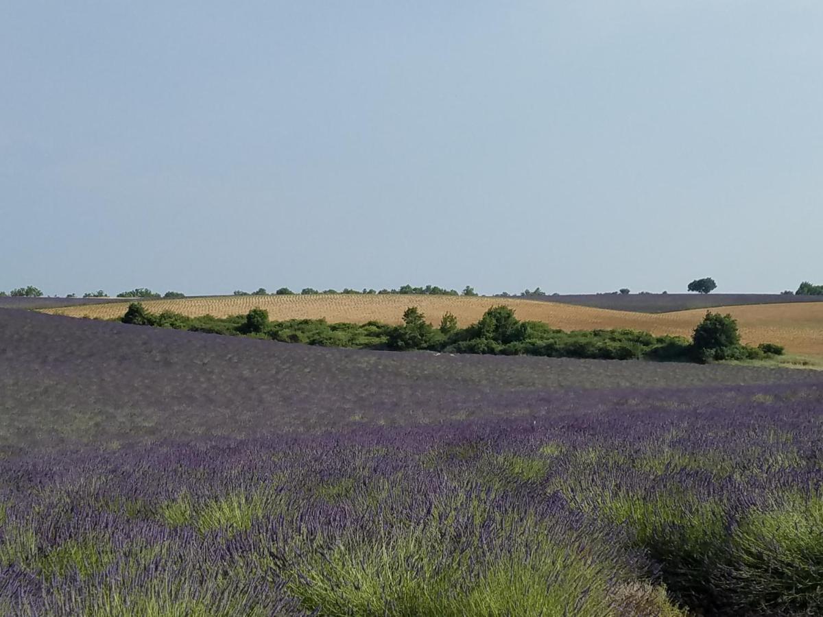 Gite Les Fourches Baudinard Zewnętrze zdjęcie